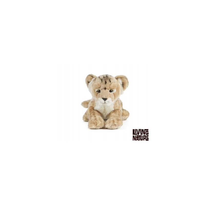 Living nature - Lion Cub