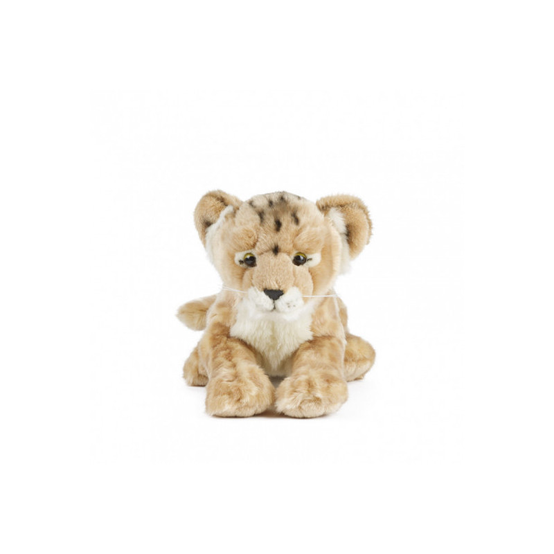 Living nature - Lion Cub