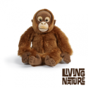 Living nature - Orangutang