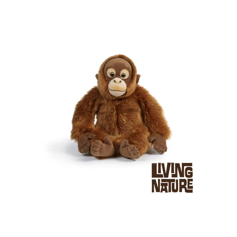 Living nature - Orangutang