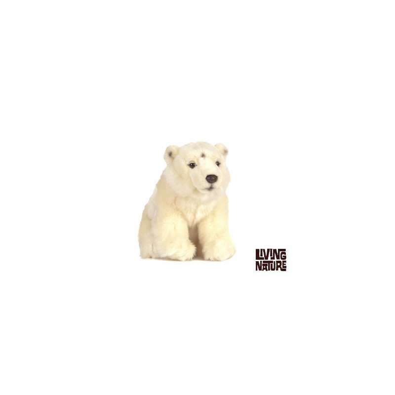 Living nature - Polar Bear Small