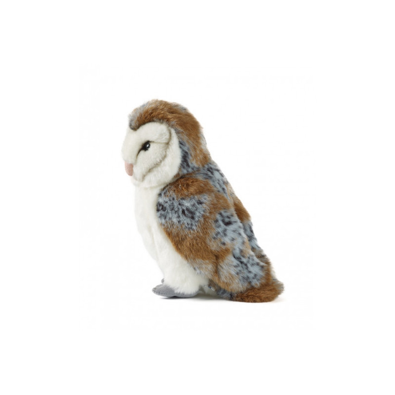 Living nature - Barn Owl Large