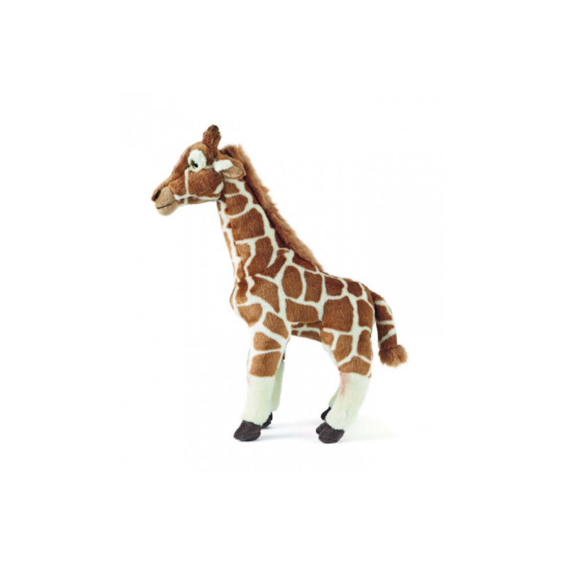 Living nature - Giraffe Large