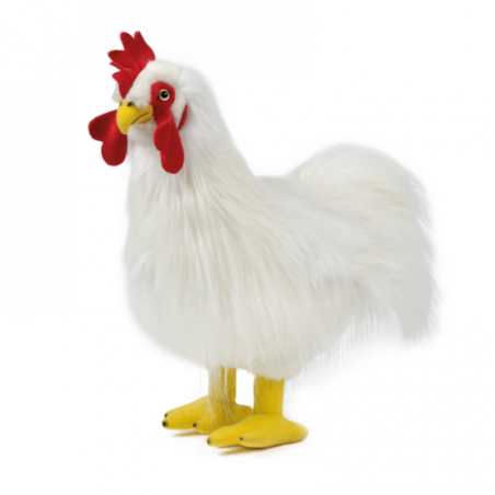 Living nature - Cockerel Large (Ungtupp)