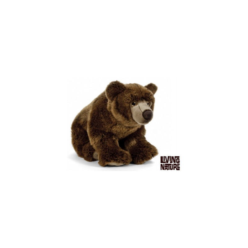Living nature - Brown Bear Large