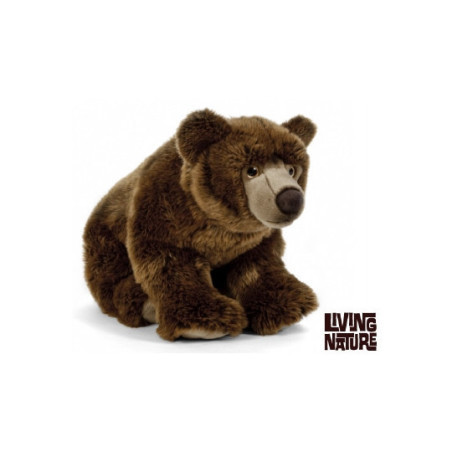 Living nature - Brown Bear Large