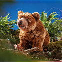 Living nature - Brown Bear Large