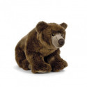 Living nature - Brown Bear Large