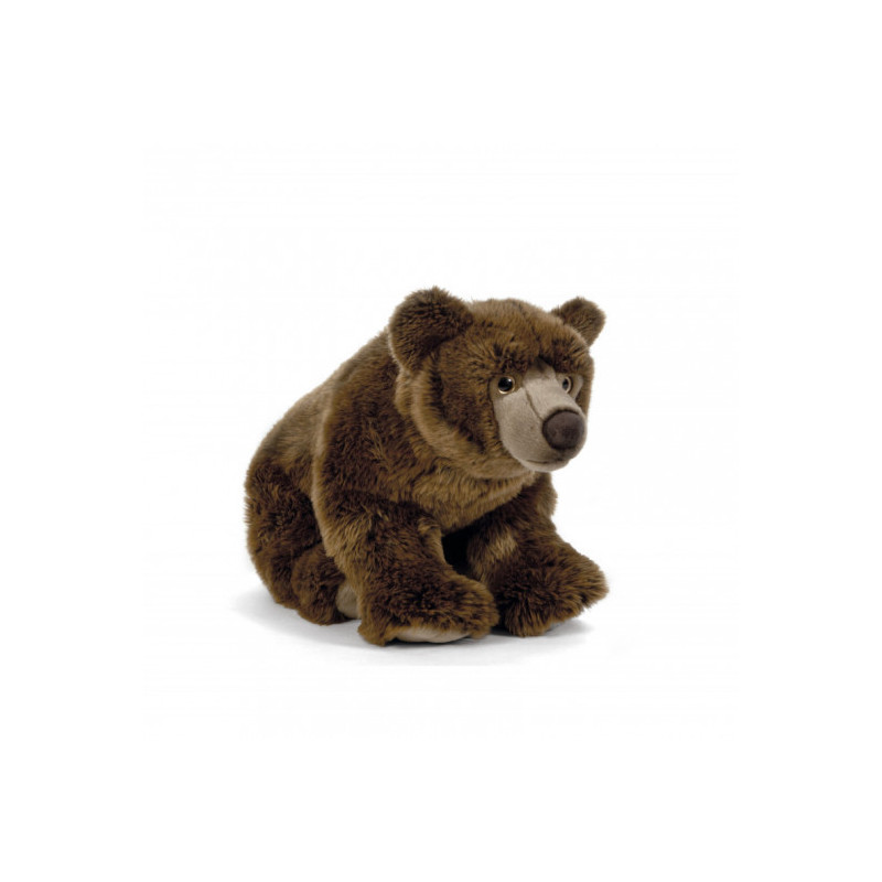 Living nature - Brown Bear Large