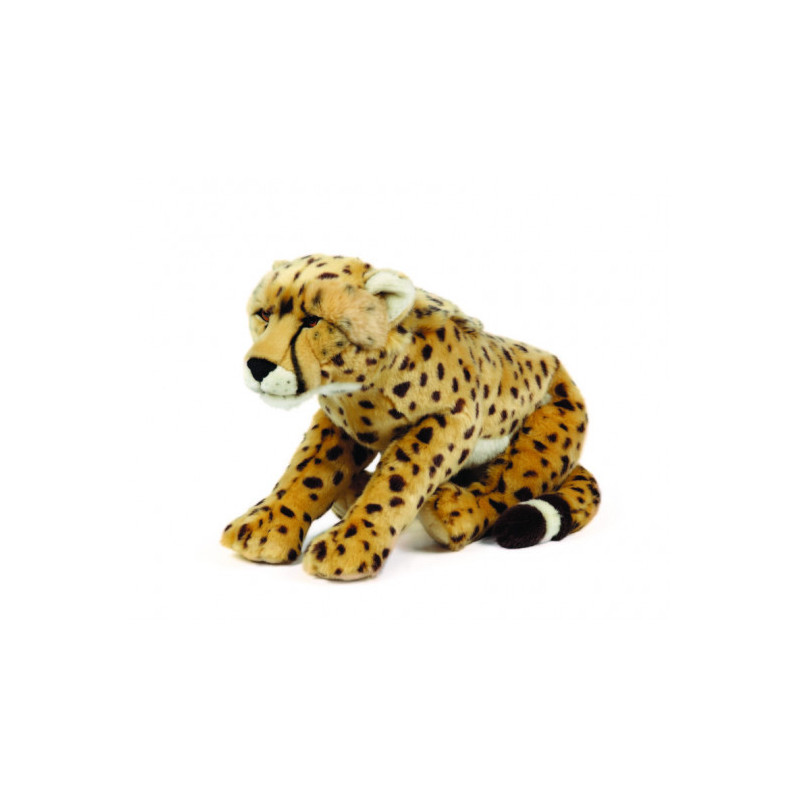 Living nature - Cheetah Large