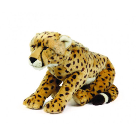 Living nature - Cheetah Large