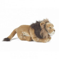 Living nature - Male Lion Large