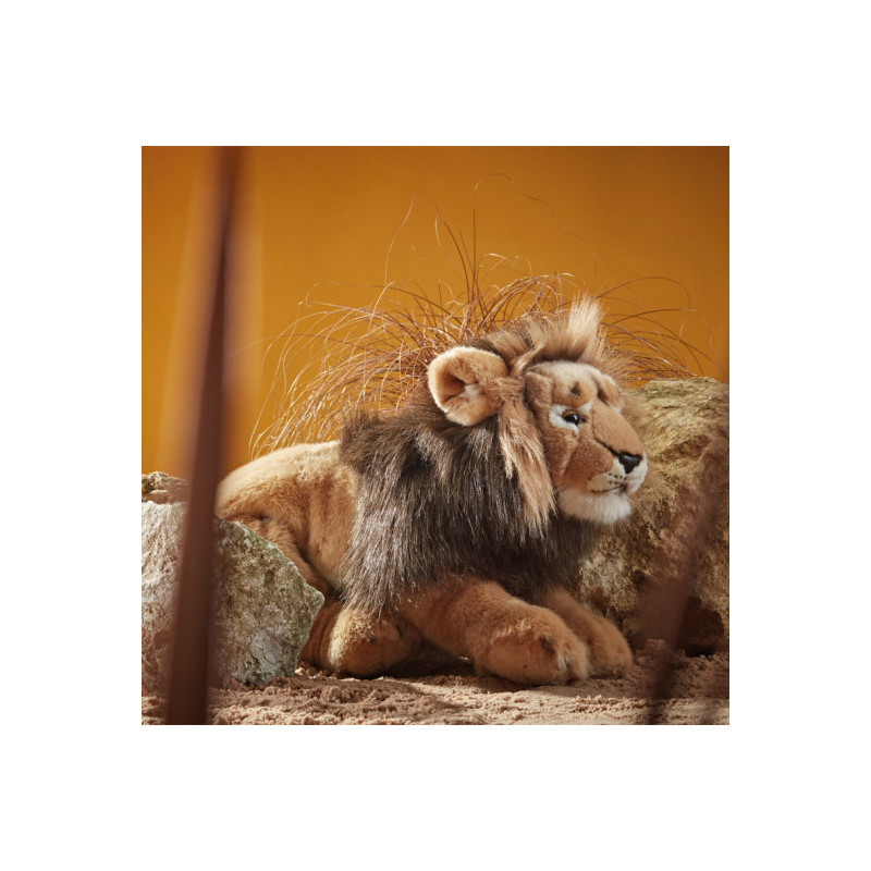 Living nature - Male Lion Large