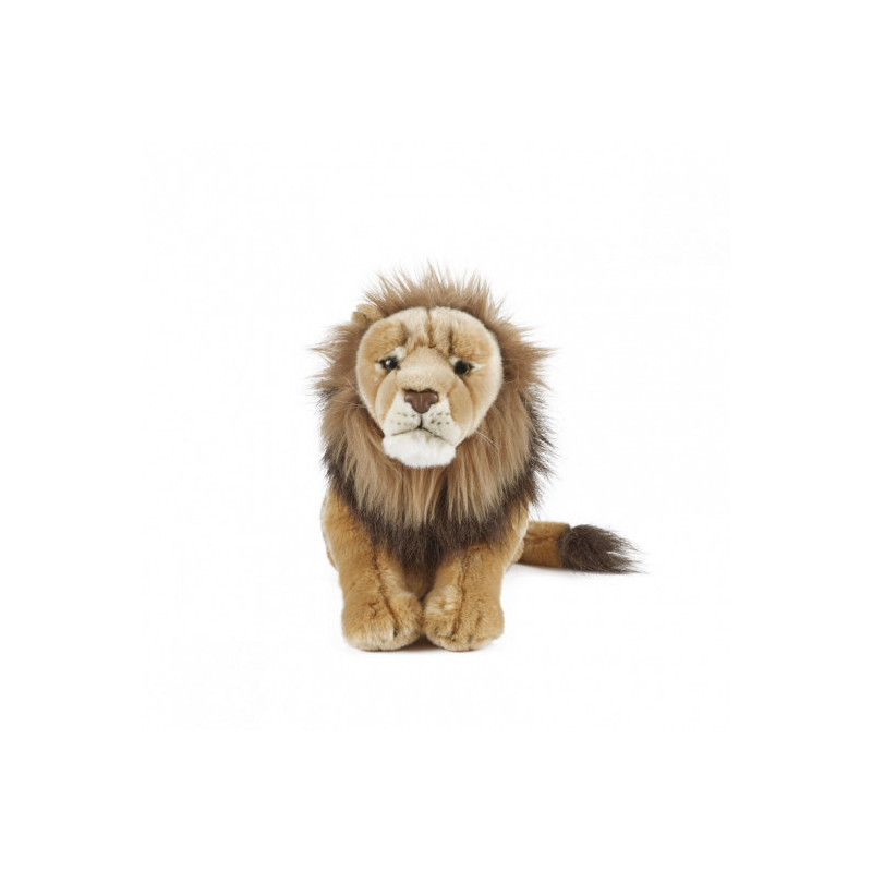 Living nature - Male Lion Large