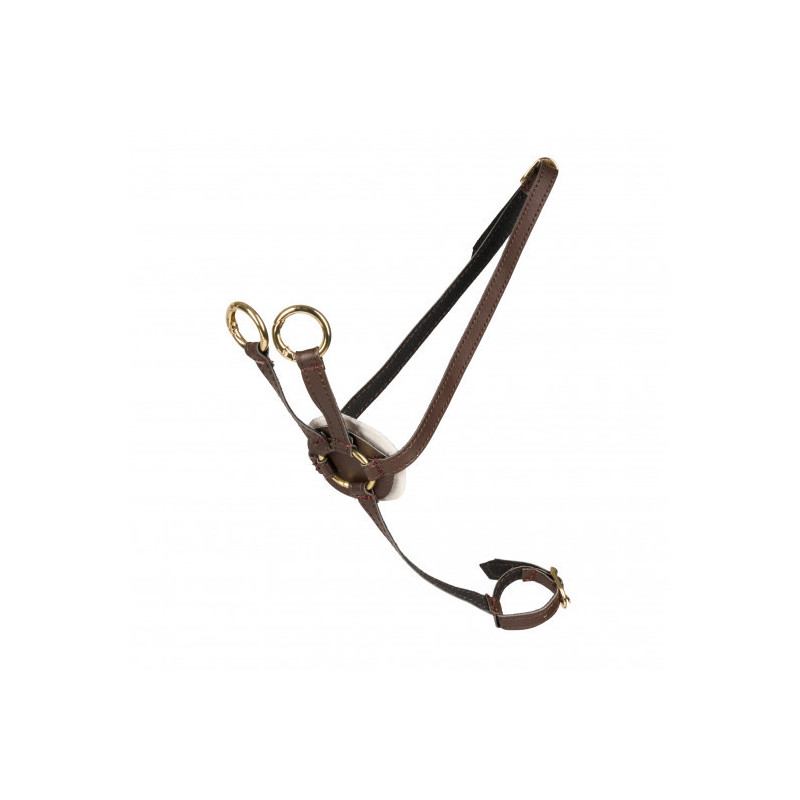 Cheval Roi - martingal till käpphäst, brun